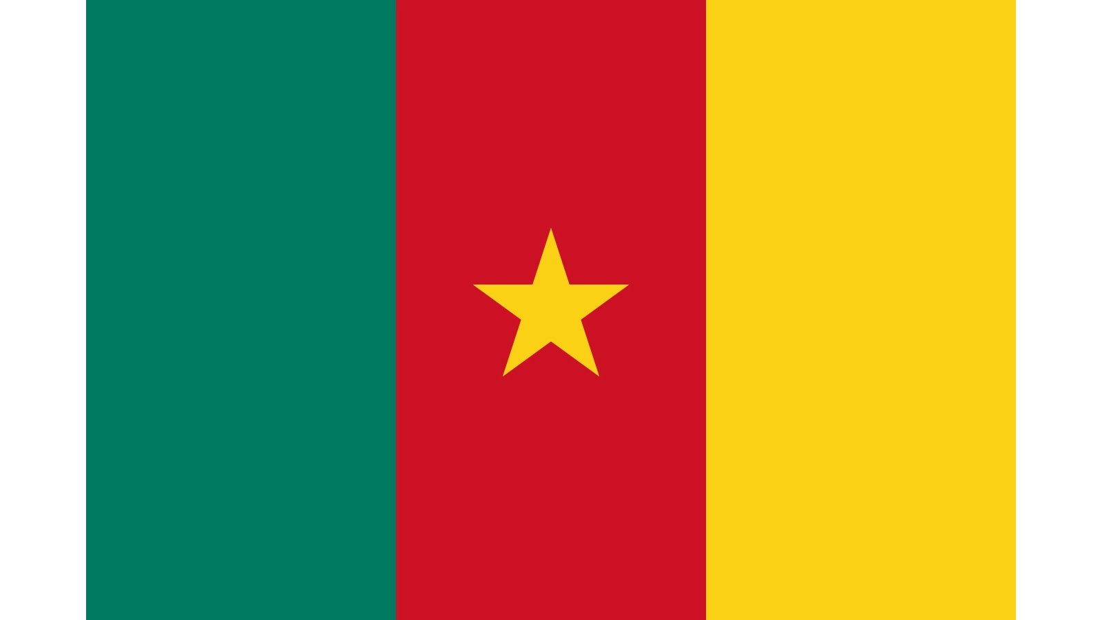 drapeau cameroun